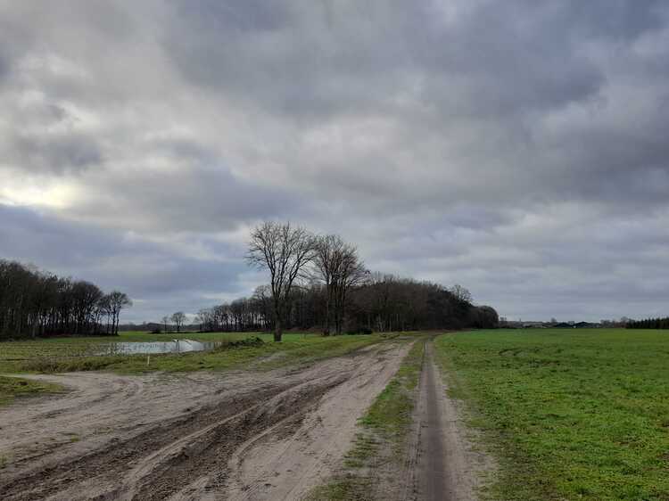 Deel van de zandweg De Oosterhoutsebaan in Dongen. (Foto: Martijn de Laat, 2023)