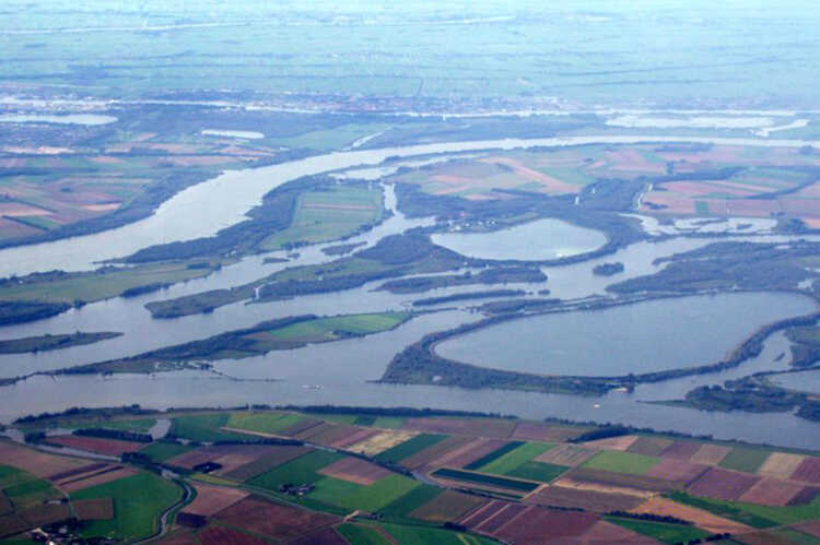 De Biesbosch vanuit de lucht. (Foto: Debot, 2005, Wikimedia Commons)