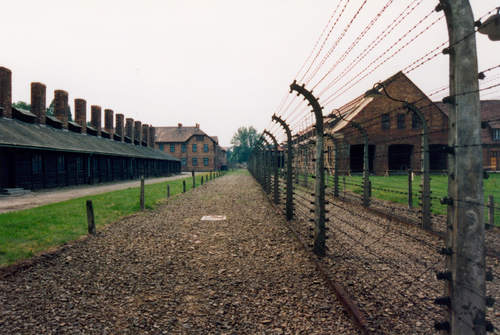 Auschwitz - Roosje Glaser
