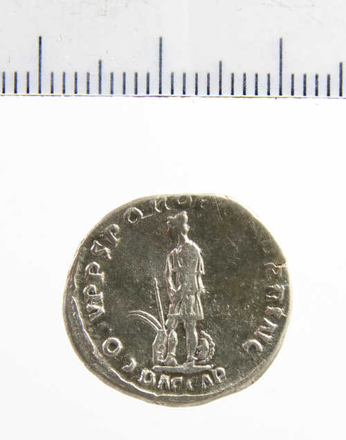 Een denarius met de beeltenis van de Romeinse keizer Trajanus. (Foto: PAN, nr. 34536, 2019)