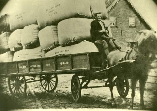 Een paardenkar van de gebroeders Van den Bergh in 1917, volgeladen met balen kapok. (Foto: Onbekend, Stadsarchief Oss)
