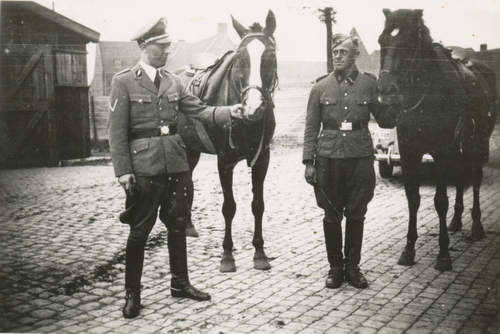 Door de Duitsers gevorderde paarden