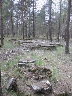 Overblijfselen van Stalag Luft III, nu gelegen in de bossen. (Foto: Qasinka, 2015, WIkimedia Commons)