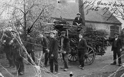 Belgische sigarenmakers, werkzaam bij Gebroeders Van Best in Valkenswaard, verzamelen hout voor het verwarmen van hun woning nabij de fabriek. (Foto: fotograaf onbekend, 1917, collectie H. Mélotte)