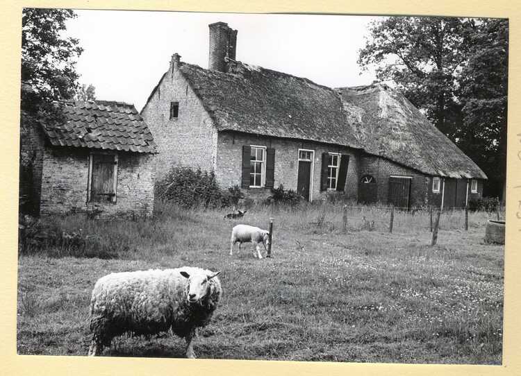 Een boerderij met schuur en bakhuis op landgoed Anneville. (Foto: T. Brekelmans, 1968, collectie Stadsarchief Breda)