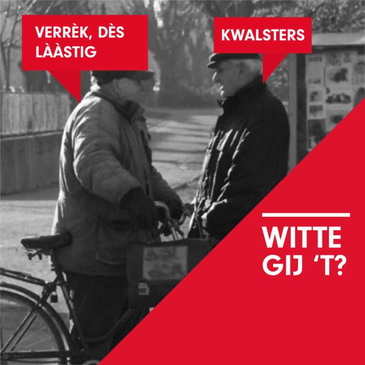 229. Kwalsters